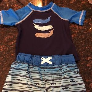 Infant Boys Swimwear